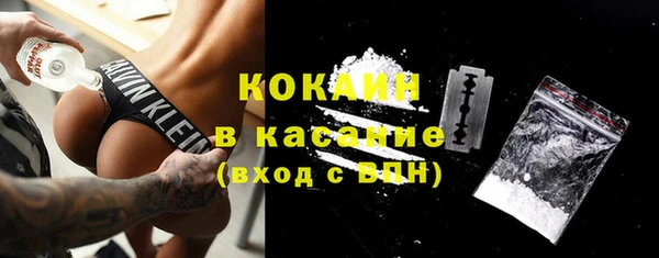 гидра Кукмор