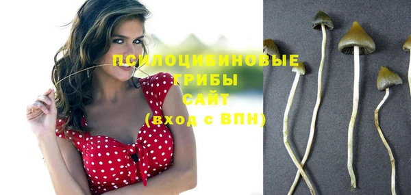 гидра Кукмор