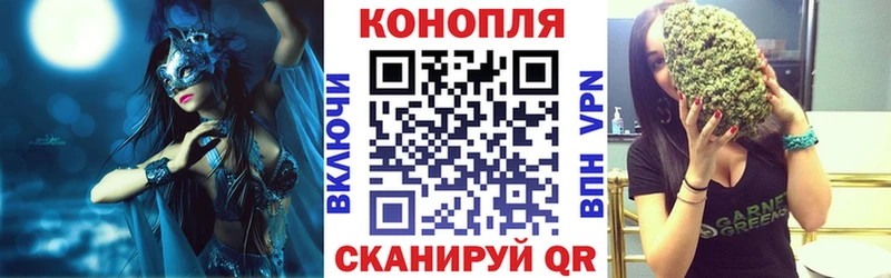 Канабис планчик  Купить где  Сольцы 
